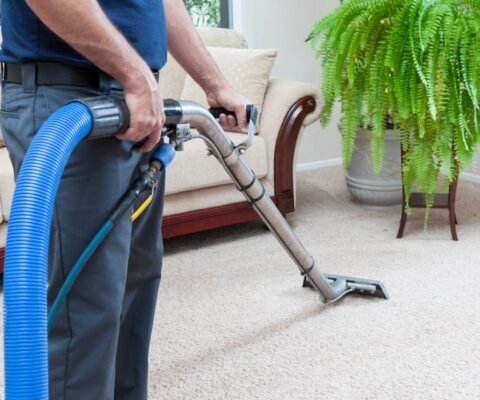 pro cleanup cleaning service